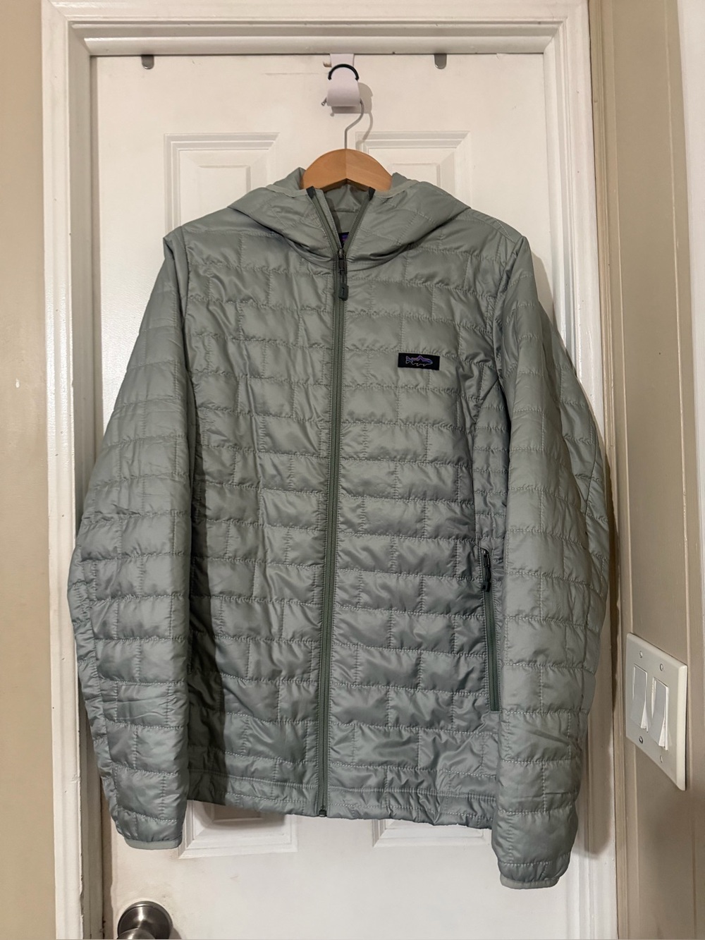 Patagonia Women's  nano puff fitz Roy trout hoody NWT